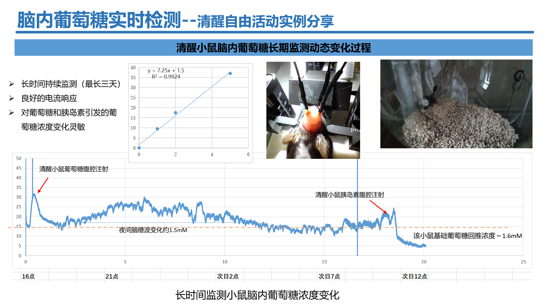 wechat_2025-09-11_175649_666.png