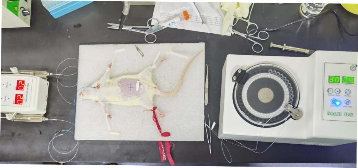 图片11.png